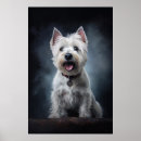 Recherche de honnêteté posters Drôle