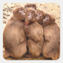 Zoek naar grappige apen stickers Aap
