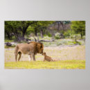 Recherche de inspecteurs posters Animal