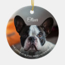 Recherche de mémorial de chien Condoléances