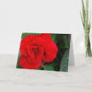 Recherche de américain anniversaire cartes Rose