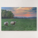 Recherche de mouton puzzles Champ