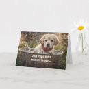 Recherche de labrador jaune vœux cartes Mignon