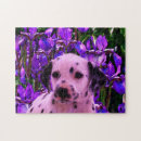 Recherche de dalmate puzzles Chiot