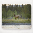 Zoek naar camera muismatten Focus