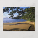 Recherche de schafer de kevin cartes postales Tropical