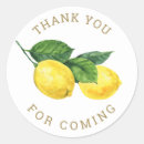 Recherche de fruit jaune autocollants Agrumes