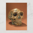 Recherche de crâne cartes postales Américain