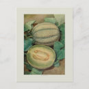 Recherche de fruit heureux cartes postales Floral