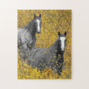 Recherche de cheval blanc puzzles Paysages