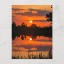 Recherche de floride cartes postales Coucher de soleil
