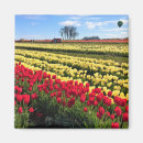 Recherche de ballon rouge magnets Air