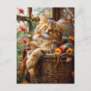Recherche de rebord cartes postales Chat