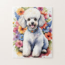 Zoek naar poodle puzzels Huisdier