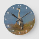 Zoek naar reiger klokken Vogels