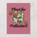 Recherche de planteur cartes postales Jardinier
