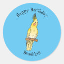 Zoek naar kakkerlakken stickers Vogel