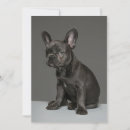 Recherche de bulldog remerciements cartes Chien