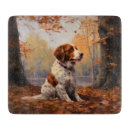 Recherche de epagneul breton maison deco Chien