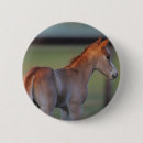 Recherche de poulain de cheval badges Équestre