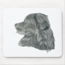 Recherche de chien terre neuve tapis souris Noir