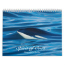 Recherche de orque calendriers Baleines