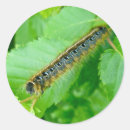 Recherche de tente autocollants Animal