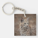 Recherche de de lynx porteclés Animal