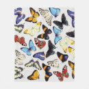 Recherche de collection de papillon Illustration