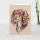 Recherche de springer spaniel vœux cartes Épagneul