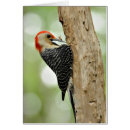 Recherche de pivert cartes postales Birding