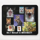 Recherche de t shirts drôles chat tapis souris Chats
