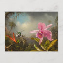 Recherche de orchidée tropicale cartes postales Martin johnson heade