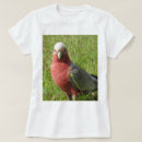 Recherche de cacatoès tshirts Galah