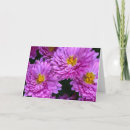 Recherche de pleine floraison Jardin