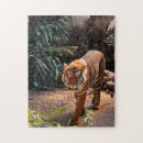 Recherche de tigre bengale puzzles Animaux sauvages