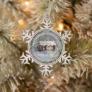 Recherche de houx ornements Noël
