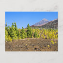 Recherche de teide cartes postales Nature