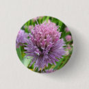 Recherche de pourpre et bleu badges Vert