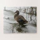 Recherche de canard puzzles Lac