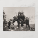 Recherche de éléphants vintages cartes postales Inde