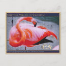 Zoek naar vintage flamingo briefkaarten Illustratie