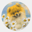Recherche de deutscher autocollants Chiot