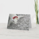 Recherche de écureuils humoristiques cartes postales Mignon