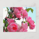 Recherche de summer spring posters Pink