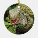 Recherche de lézard vert ornements Iguane
