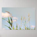 Recherche de grasse posters Nature