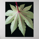 Zoek naar natuurlijke wereld posters Patroon