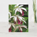 Recherche de nonne vœux cartes Floral