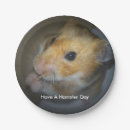 Recherche de hamster Syrien